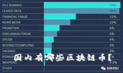 国内有哪些区块链币？