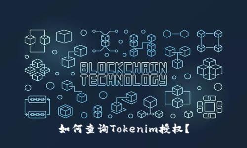 如何查询Tokenim授权？