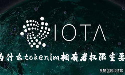 为什么tokenim拥有者权限重要？