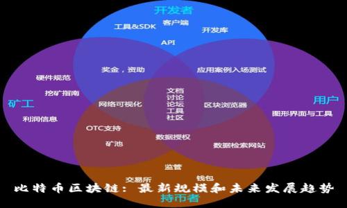 比特币区块链: 最新规模和未来发展趋势