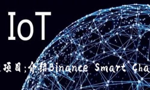 探索最新区块链项目：介绍Binance Smart Chain及其生态系统