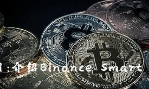 探索最新区块链项目：介绍Binance Smart Chain及其生态系统