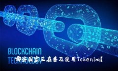 哪些国家正在普及使用Tokenim？