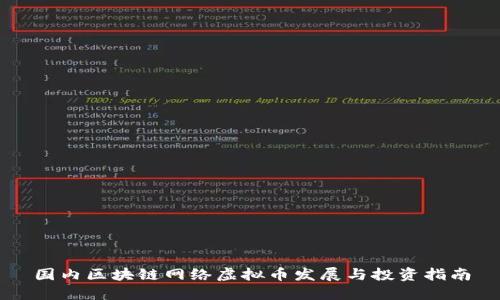 国内区块链网络虚拟币发展与投资指南