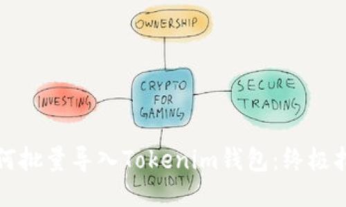 如何批量导入Tokenim钱包：终极指南