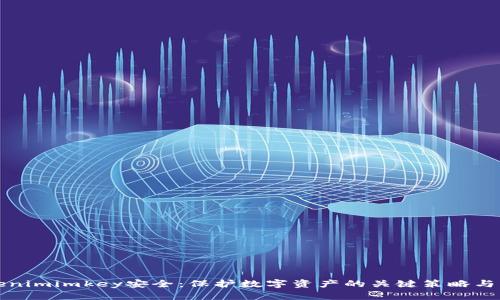 Tokenimimkey安全：保护数字资产的关键策略与实践
