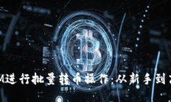 如何使用TokenIM进行批量转币操作：从新手到高手