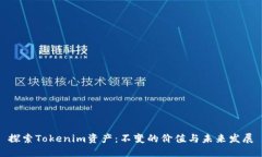 探索Tokenim资产：不变的价值与未来发展