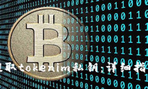 如何安全地提取tokenim私钥：详细指南与最佳实践