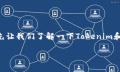 在讨论“Tokenim能放FIL吗”这个问题之前，首先让