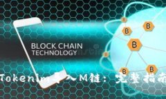 如何将Tokenim导入M链: 完整指南与技巧