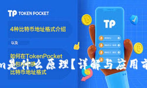 Tokenim是什么原理？详解与应用前景分析