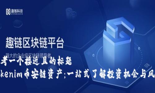 思考一个接近且的标题  
Tokenim币安链资产：一站式了解投资机会与风险