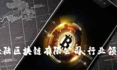 比特币大陆区块链有限公司：行业领军者解析