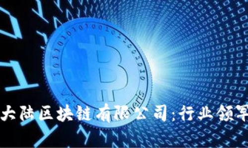 比特币大陆区块链有限公司：行业领军者解析