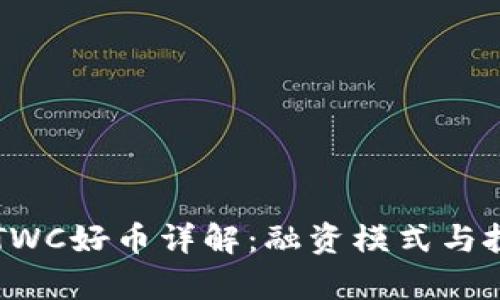 区块链TWC好币详解：融资模式与投资前景