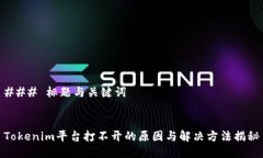 ### 标题与关键词Tokenim平台打不开的原因与解决方