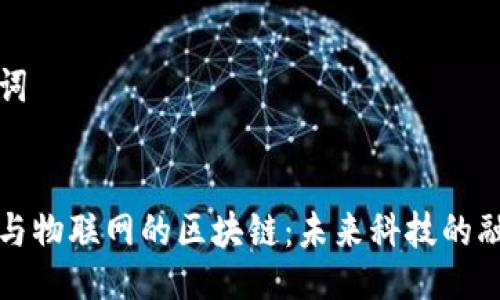 与关键词

```xml
比特币与物联网的区块链：未来科技的融合之路