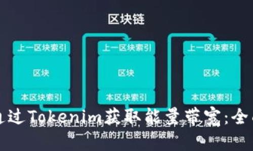 如何通过Tokenim获取能量带宽：全面指南