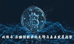 比特币：区块链技术的先锋与未来发展趋势