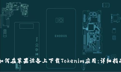 如何在苹果设备上下载Tokenim应用：详细指南