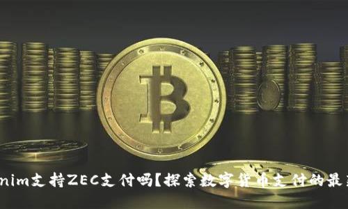  Tokenim支持ZEC支付吗？探索数字货币支付的最新动态