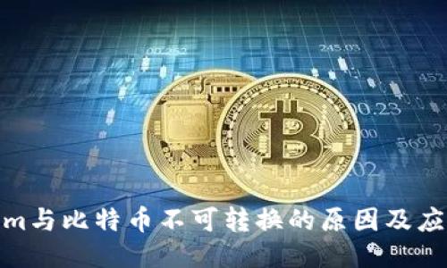 Tokenim与比特币不可转换的原因及应对策略