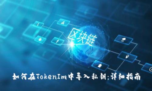 如何在TokenIm中导入私钥：详细指南