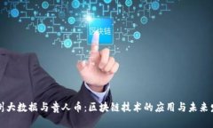 贵州大数据与贵人币：区块链技术的应用与未来