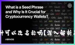 区块链币种可以改名称吗？深入解析及案例分析