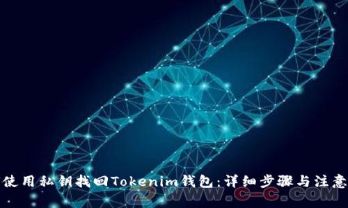 如何使用私钥找回Tokenim钱包：详细步骤与注意事项