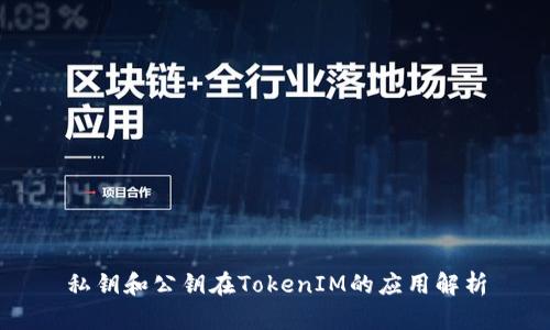 私钥和公钥在TokenIM的应用解析