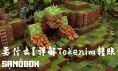 Tokenim转账需要什么？详解Tokenim转账流程及注意事