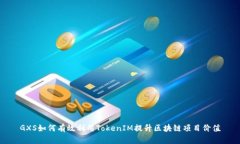 GXS如何有效利用TokenIM提升区块链项目价值