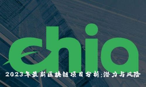 2023年最新区块链项目分析：潜力与风险