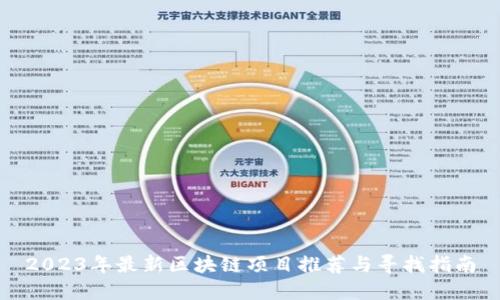 2023年最新区块链项目推荐与寻找指南