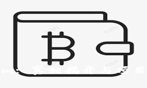 : Tokenim: 真相揭开与项目潜力分析