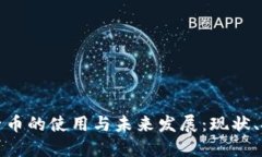 区块链电子币的使用与未来发展：现状、挑战与