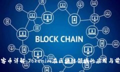 玩客币详解：Tokenim在区块链领域的应用与前景