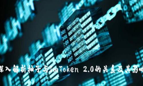 深入解析柚子与ImToken 2.0的关系及其影响