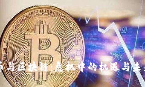比特币与区块链：危机中的机遇与未来展望