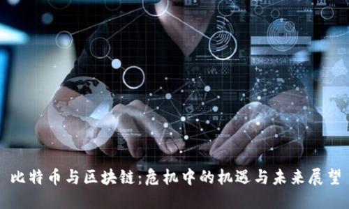 比特币与区块链：危机中的机遇与未来展望