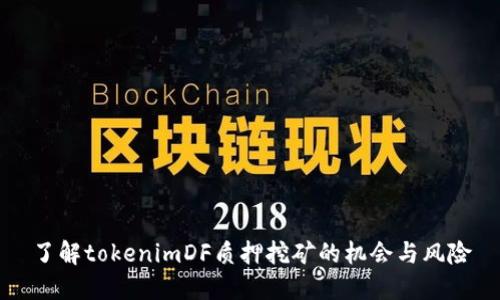 了解tokenimDF质押挖矿的机会与风险