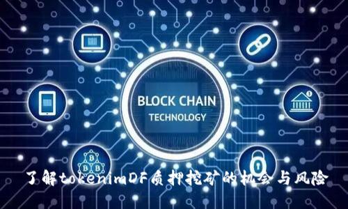 了解tokenimDF质押挖矿的机会与风险