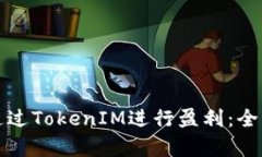 如何通过TokenIM进行盈利：全面解析