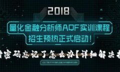 : tokenim支付密码忘记了怎么办？详细解决指南与