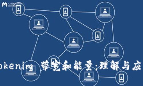 Tokenim 带宽和能量：理解与应用