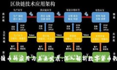 区块链币的应用与未来发展：深入解析数字货币