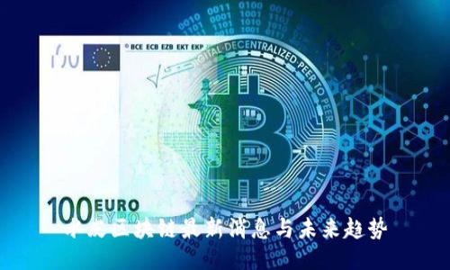 水皮区块链最新消息与未来趋势