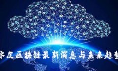 水皮区块链最新消息与未来趋势